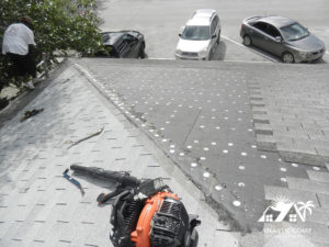 shingle roof repair